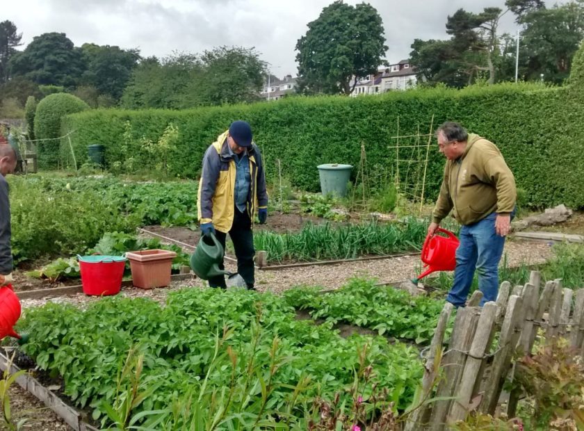 volunteers working in garden