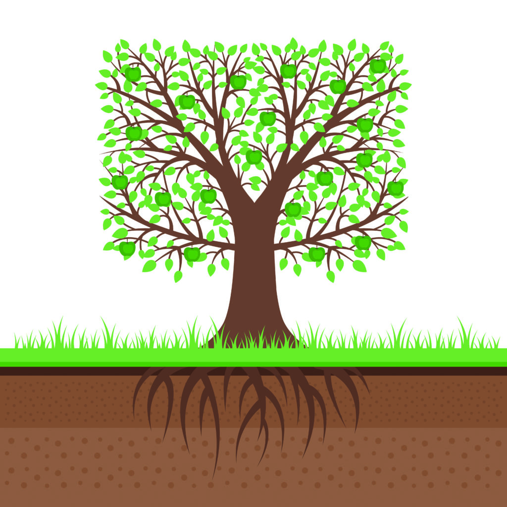 Getting To Know Your Soil Greener Kirkcaldy