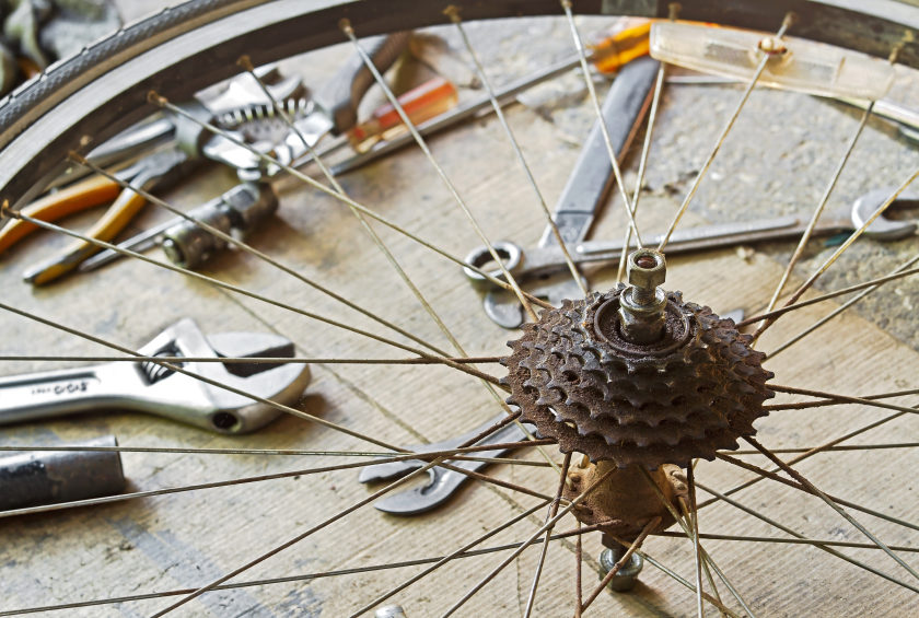 Dave's bike shed ~ MasBloom