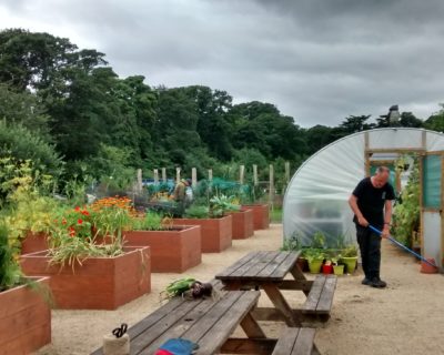 ravens craig walled garden in action