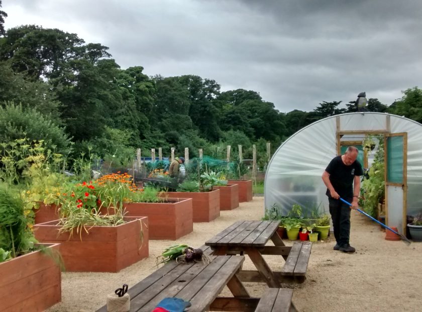 ravens craig walled garden in action