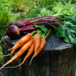 carrots and beetroot