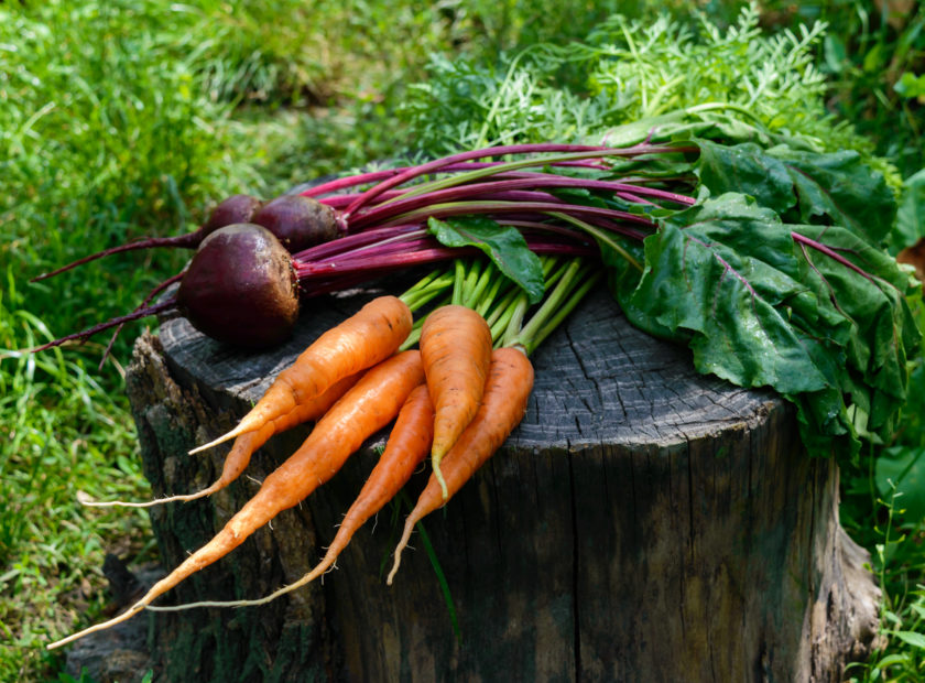 carrots and beetroot