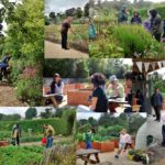 Walled Garden Collage