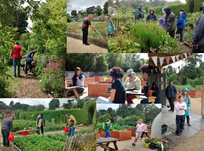 Walled Garden Collage