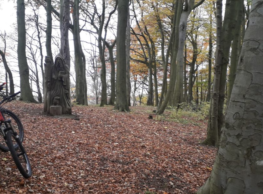 cycling at Beveridge park