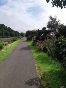 sunny coastal path