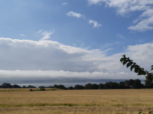 Sunny field view