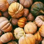 pumpkins