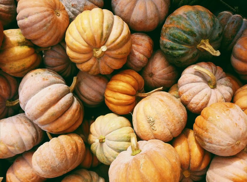 pumpkins