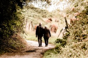 winter walking festival - couple walking through woods