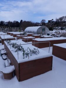 Snow at Ravenscraig in February