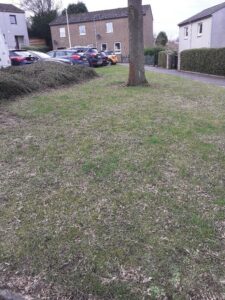 kirkcaldy car-free week free grass area and tree