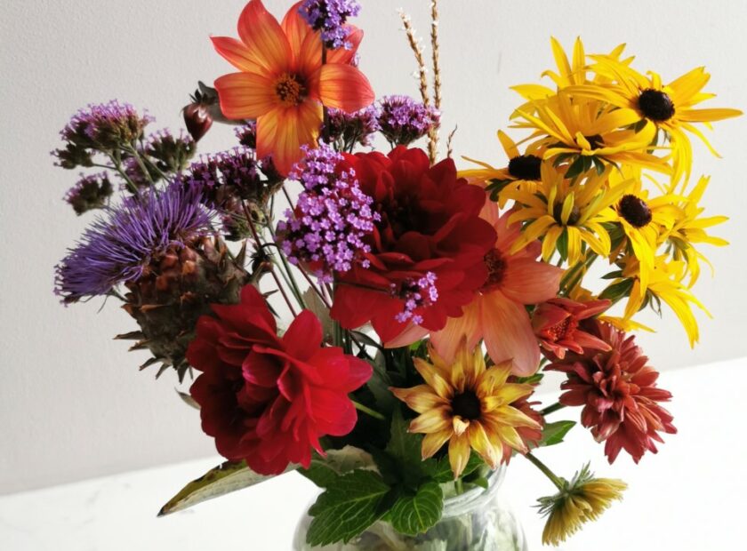 Flowers from my Kirkcaldy garden
