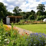 ravenscraig walled garden - climate friendly gardening