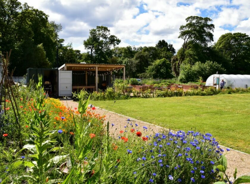 ravenscraig walled garden - climate friendly gardening