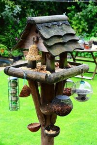 bird feeder - learning to love wildlife in the garden