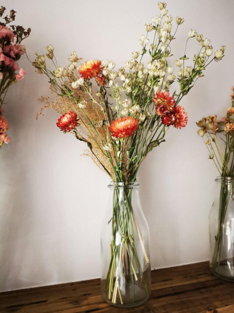 Astrantia and strawflowers