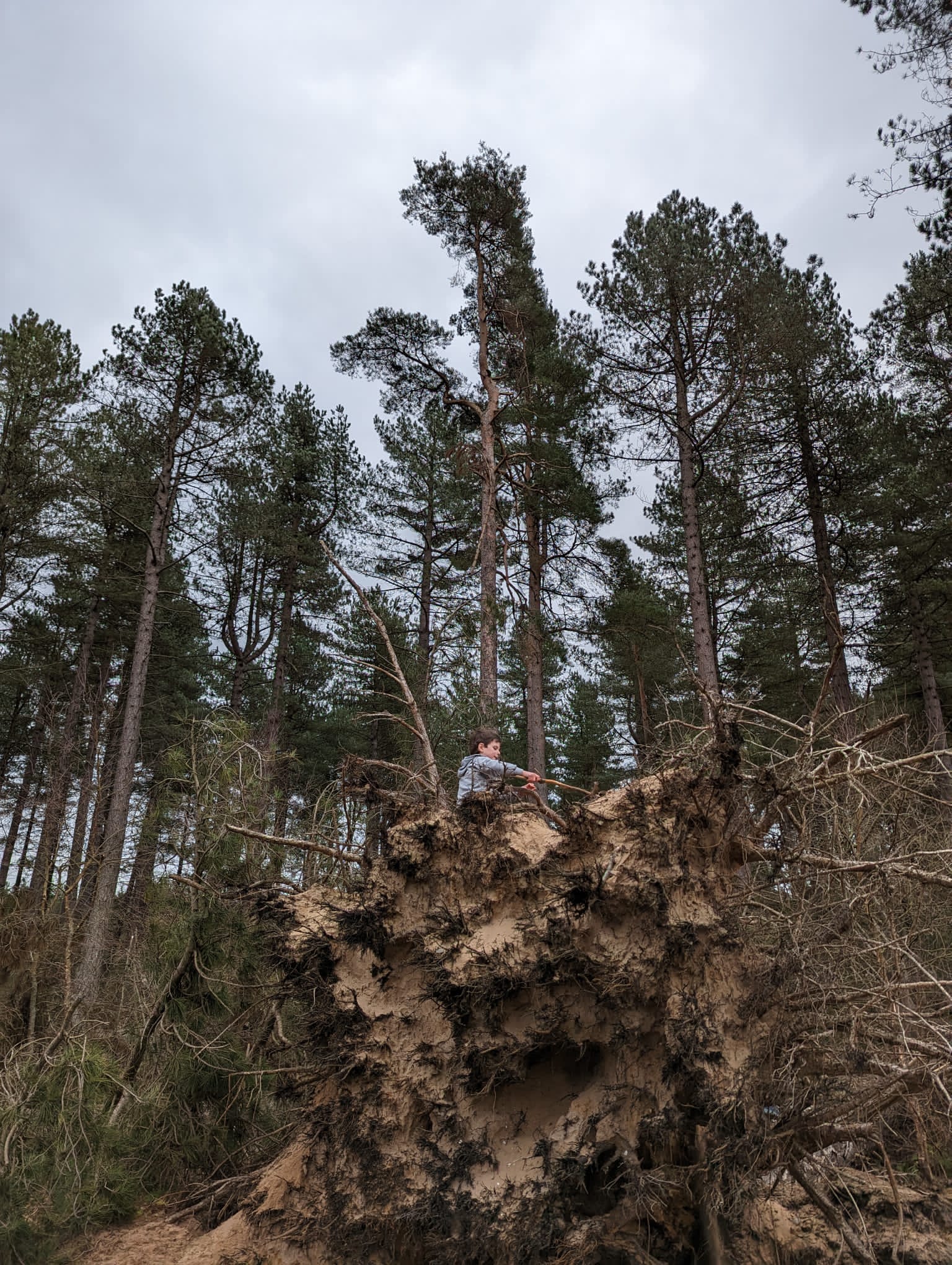Raise kids who love nature seven ideas for the Easter Holidays in Fife Greener Kirkcaldy
